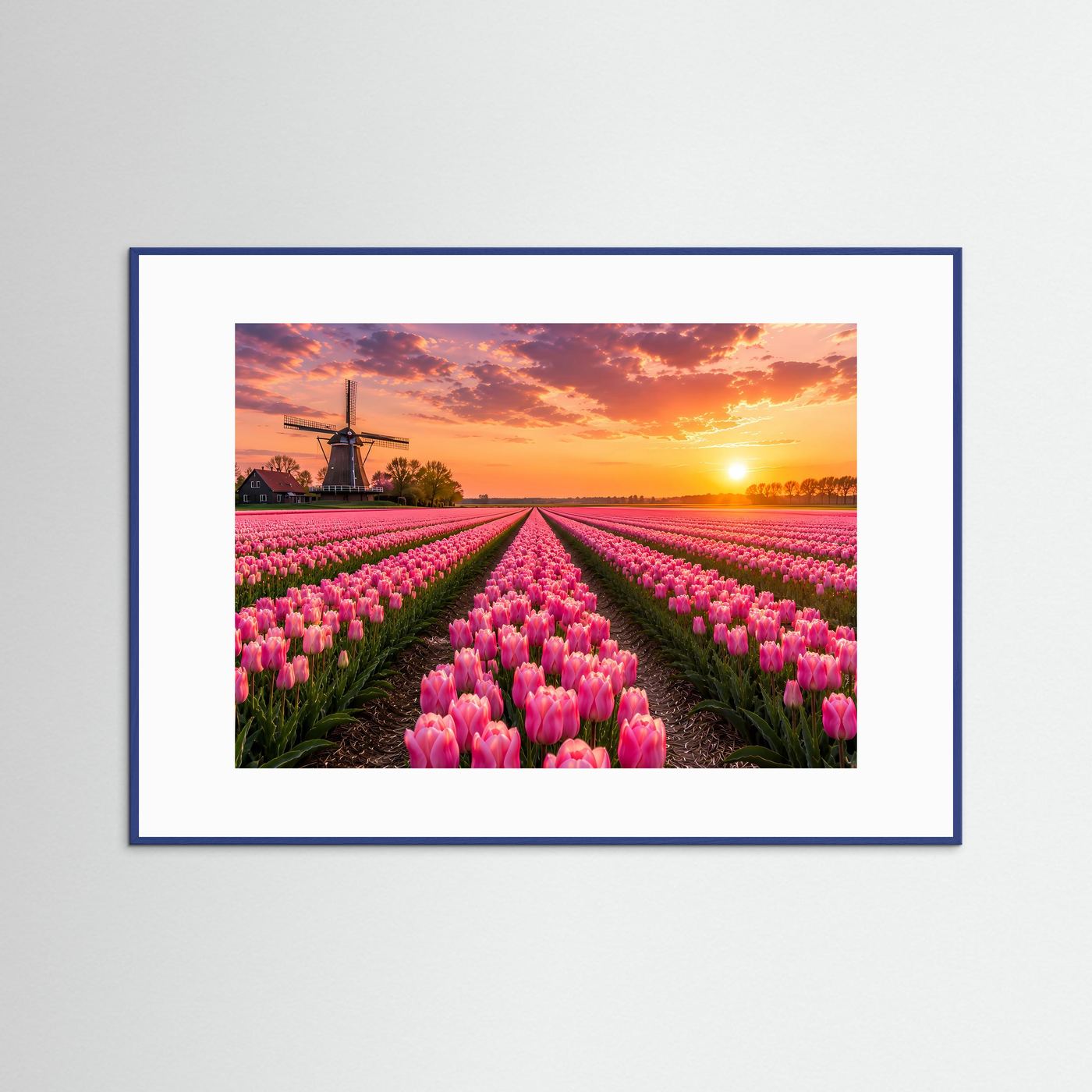 Tulpenfeld Poster Querformat | Rosa Tulpen mit Windmühle im Sonnenuntergang