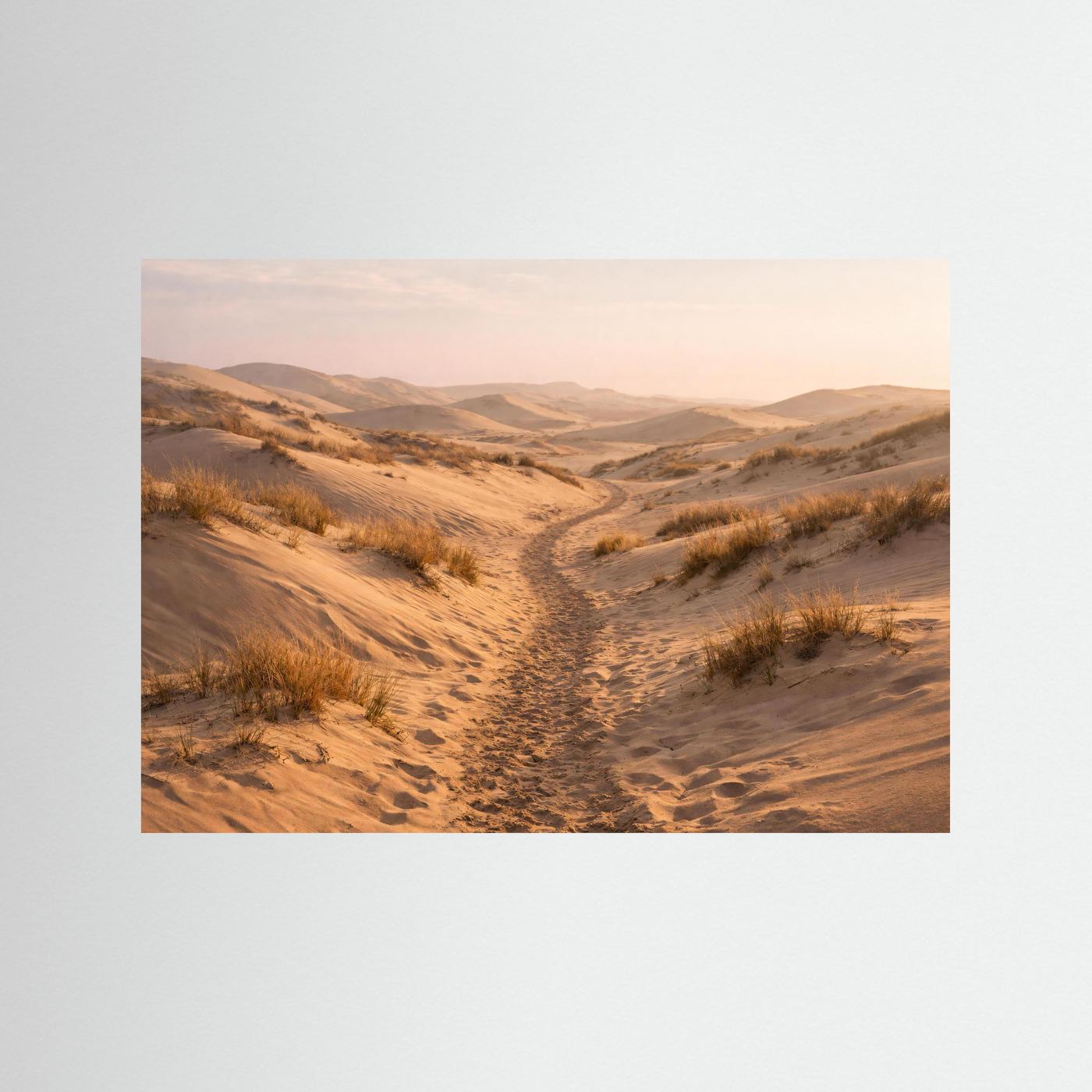 Querformat-Poster mit Pfad durch goldene Küstendünen und Dünenvegetation