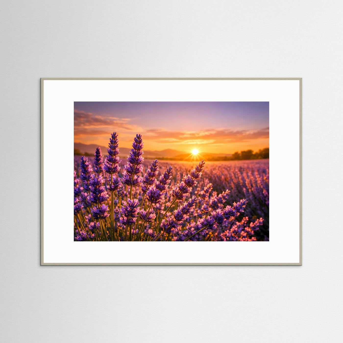 Lavendelzauber im Abendlicht | Provence & Sonnenuntergang Panorama Poster Querformat