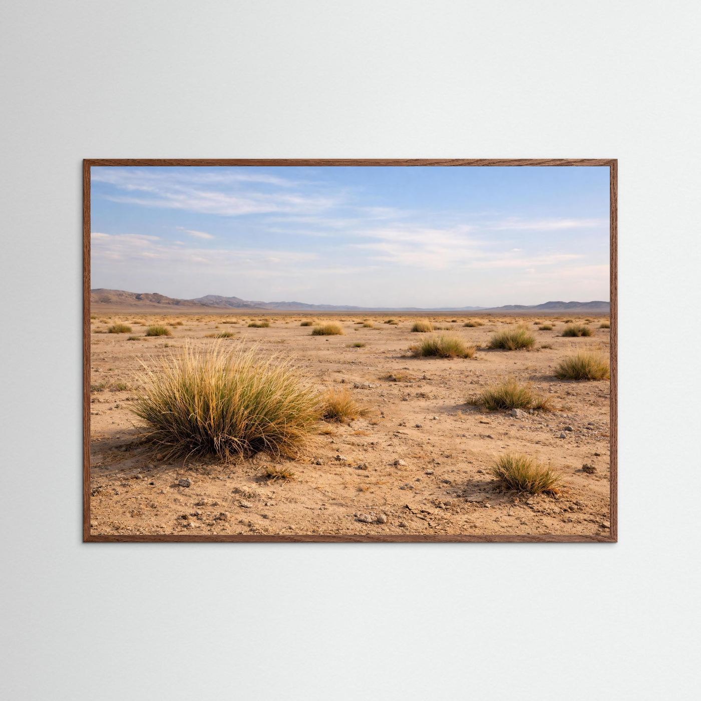 Weite der Steppe | Wüstenlandschaft Naturposter Querformat