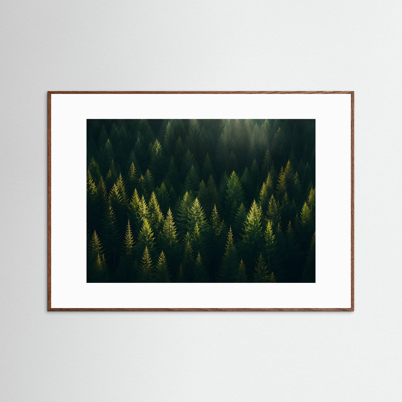 Mystischer Nadelwald im Sonnenlicht | Panorama Wald & Natur Poster Querformat