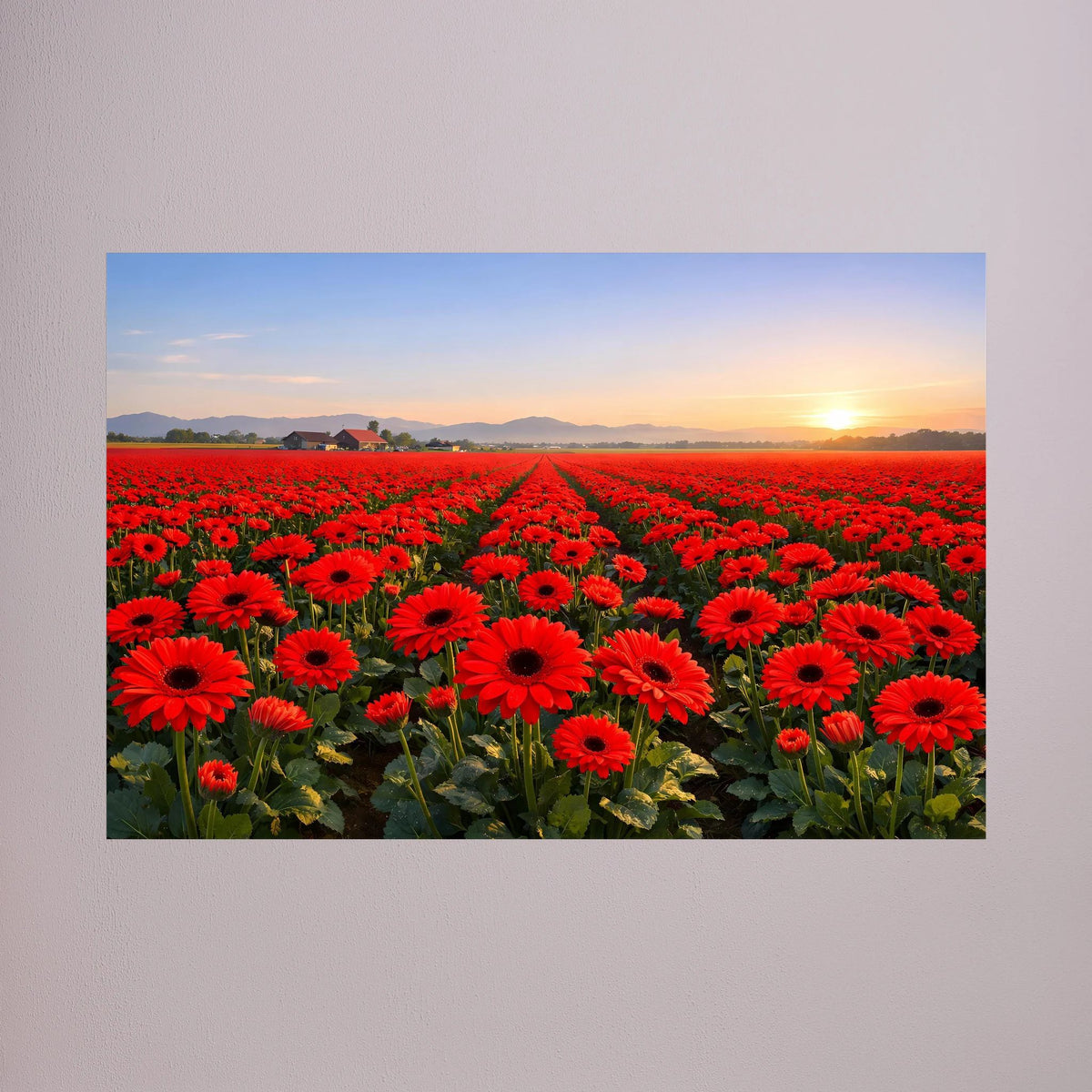 Wandbild quer mit rotem Blütenfeld vor blauem Himmel und tiefem Sonnenuntergang