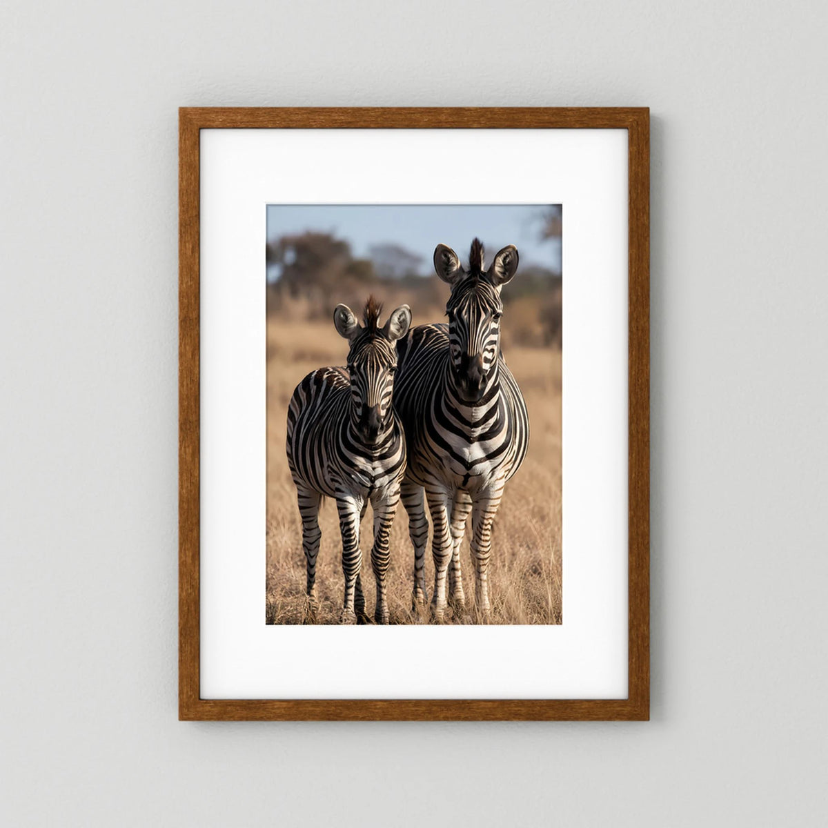 Poster mit Zebra-Mutter und Jungtier, im dunklen Holzrahmen
