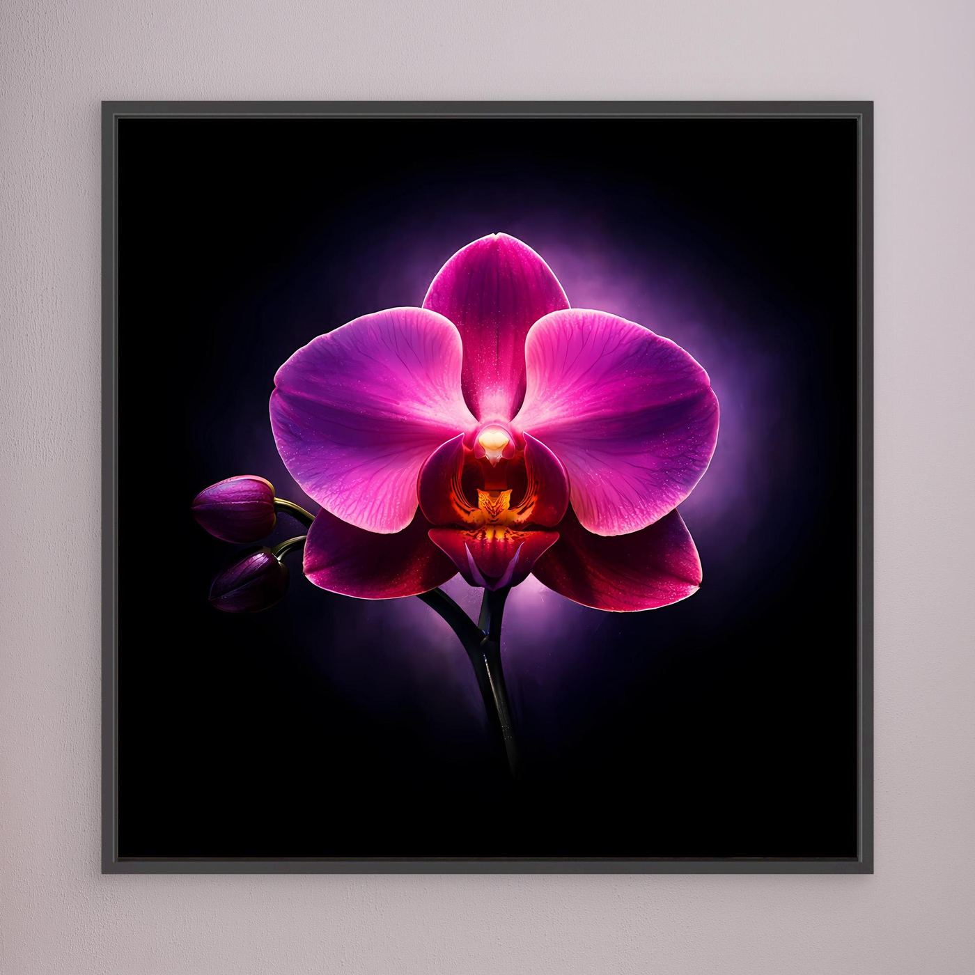 Leinwandbild Orchidee in Pink mit Leuchteffekt, schwarzer Rahmen