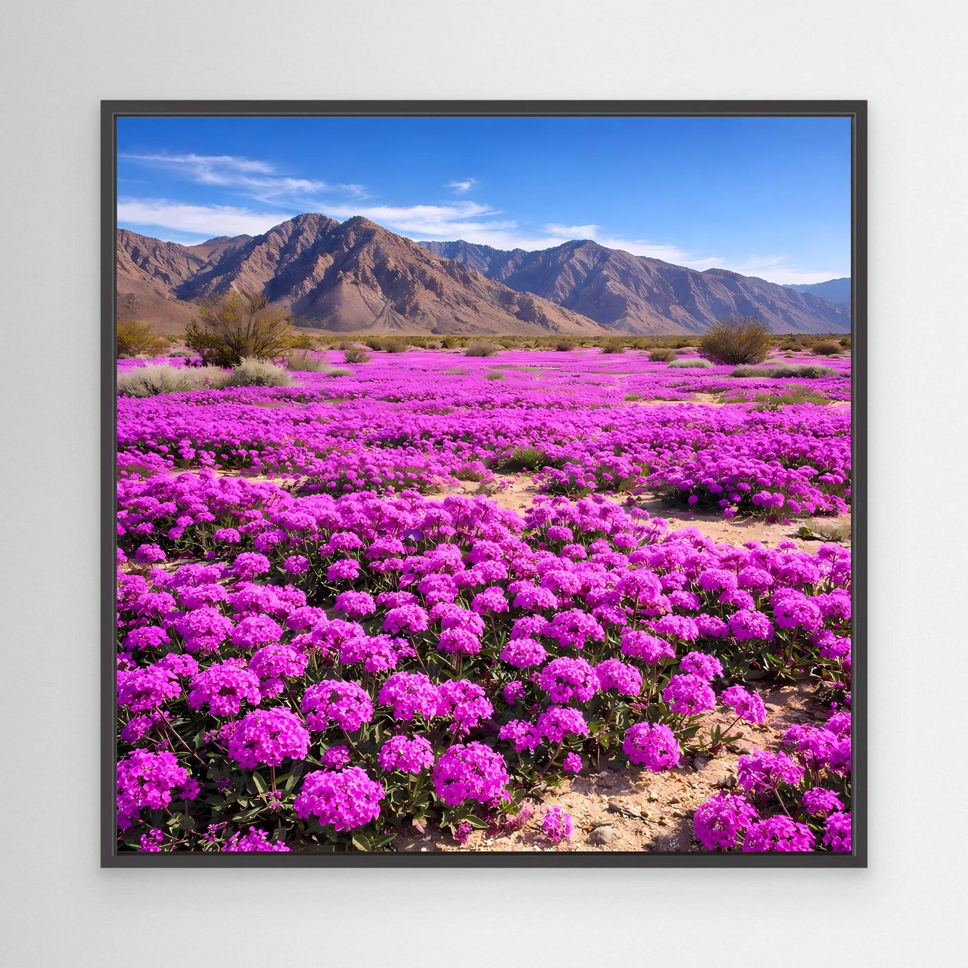 Leinwandbild mit violettem Blütenfeld und Bergpanorama, schwarzer Rahmen