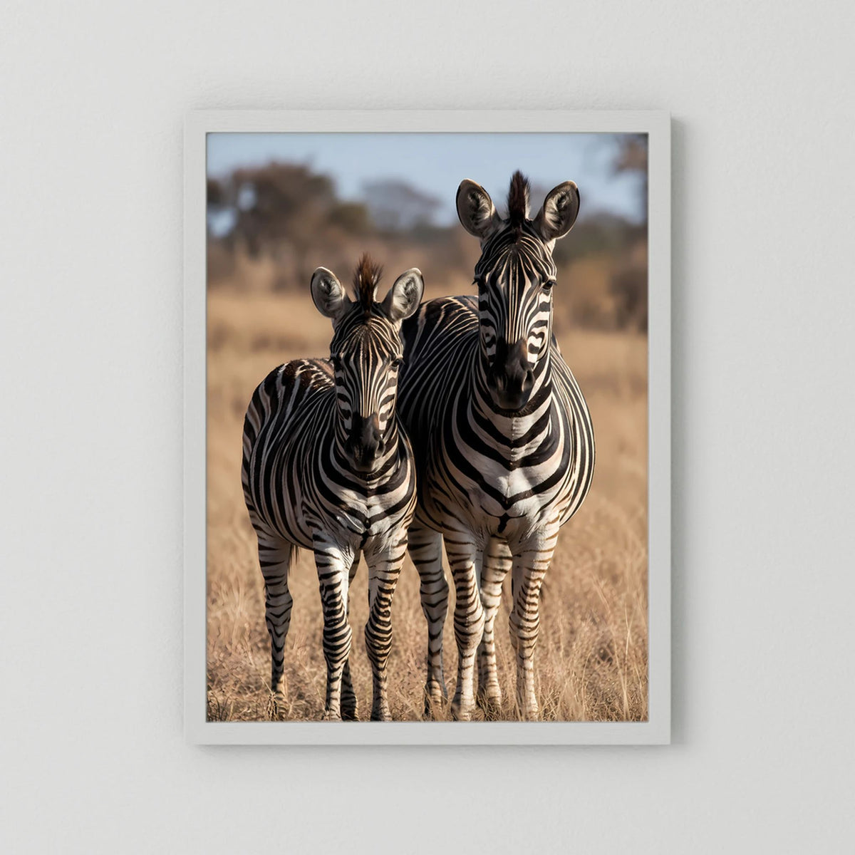 Poster mit Zebra-Mutter und Jungtier in Streifen, im weißen Rahmen