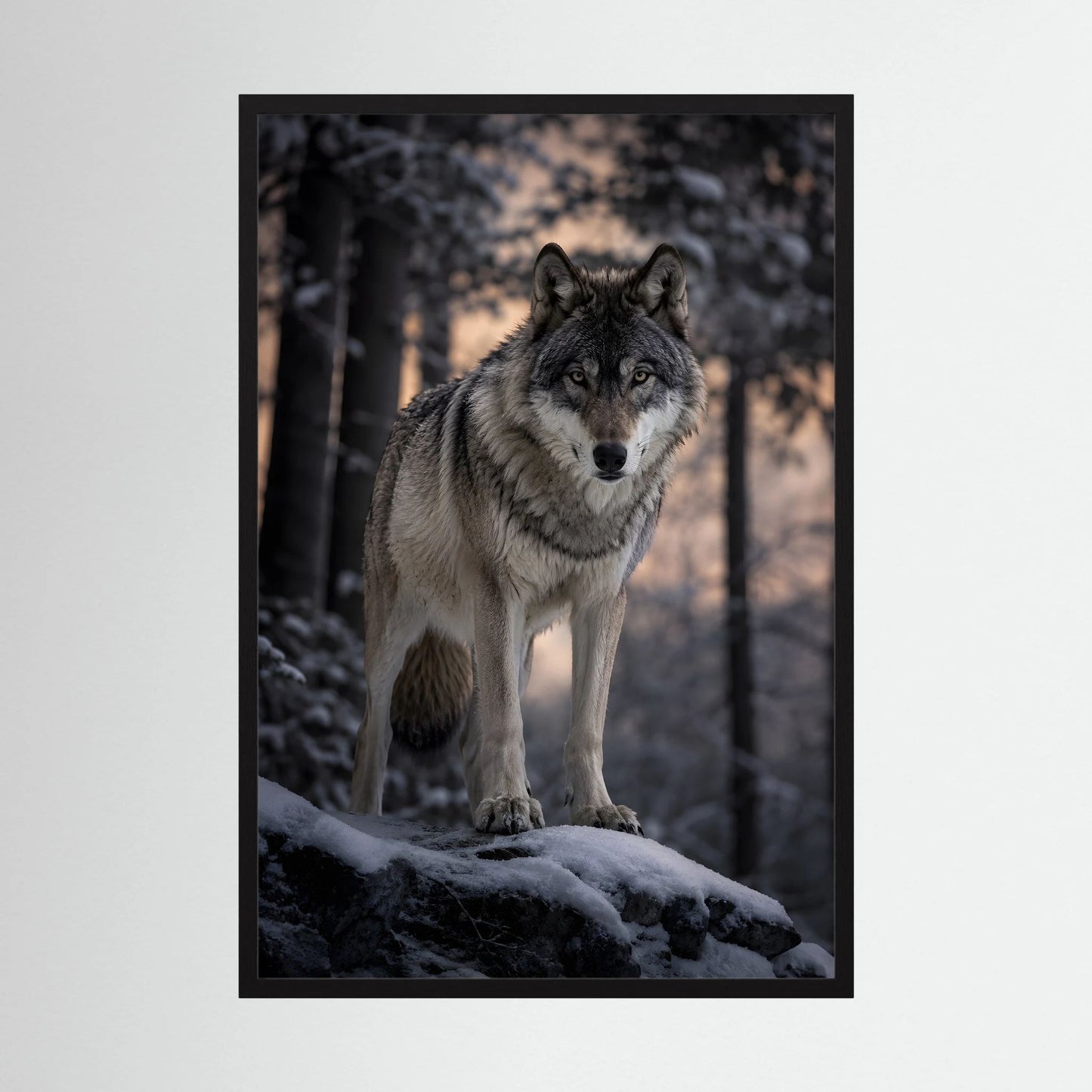 Wolf-Porträtposter im Hochformat, stehender Grauwolf mit Fell im Schnee, schwarzer Rahmen