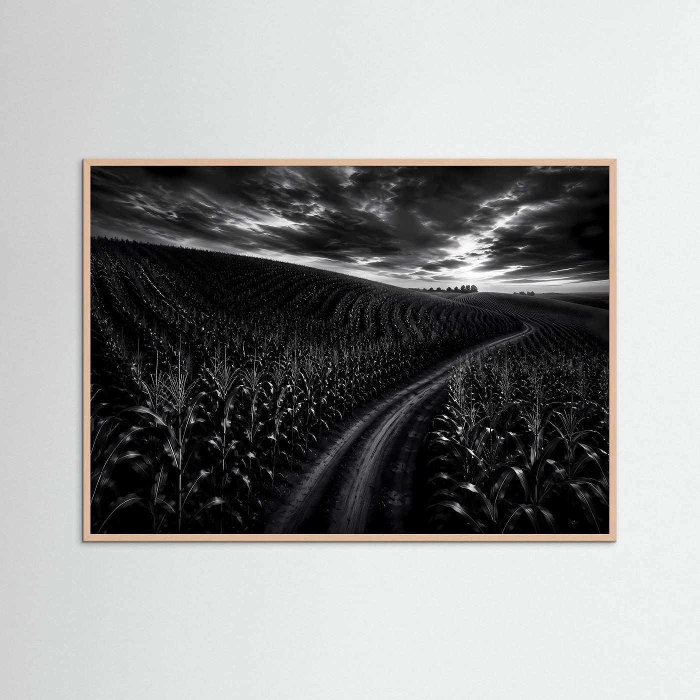 Schwarz Weiß Landschaft mit Feldweg | Dramatisches Natur Wandbild | Monochrome Landschaftsfotografie | Modernes Leinwandbild | Premium Poster
