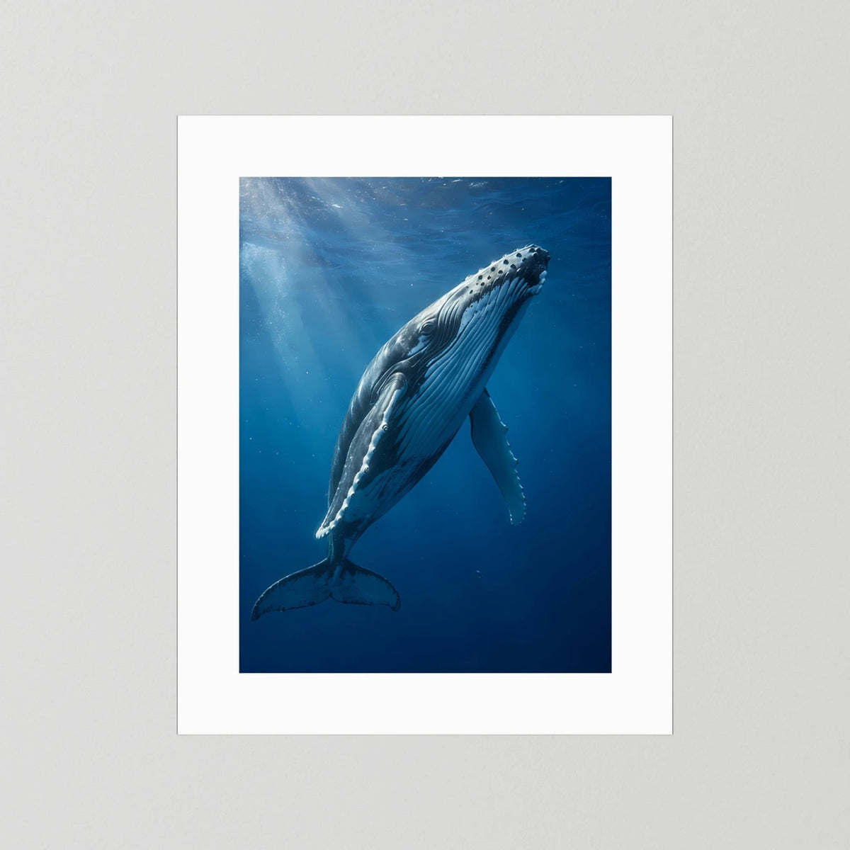Poster mit Buckelwal unter Wasser, blauer Farbverlauf, Hochformat, weißer Rand