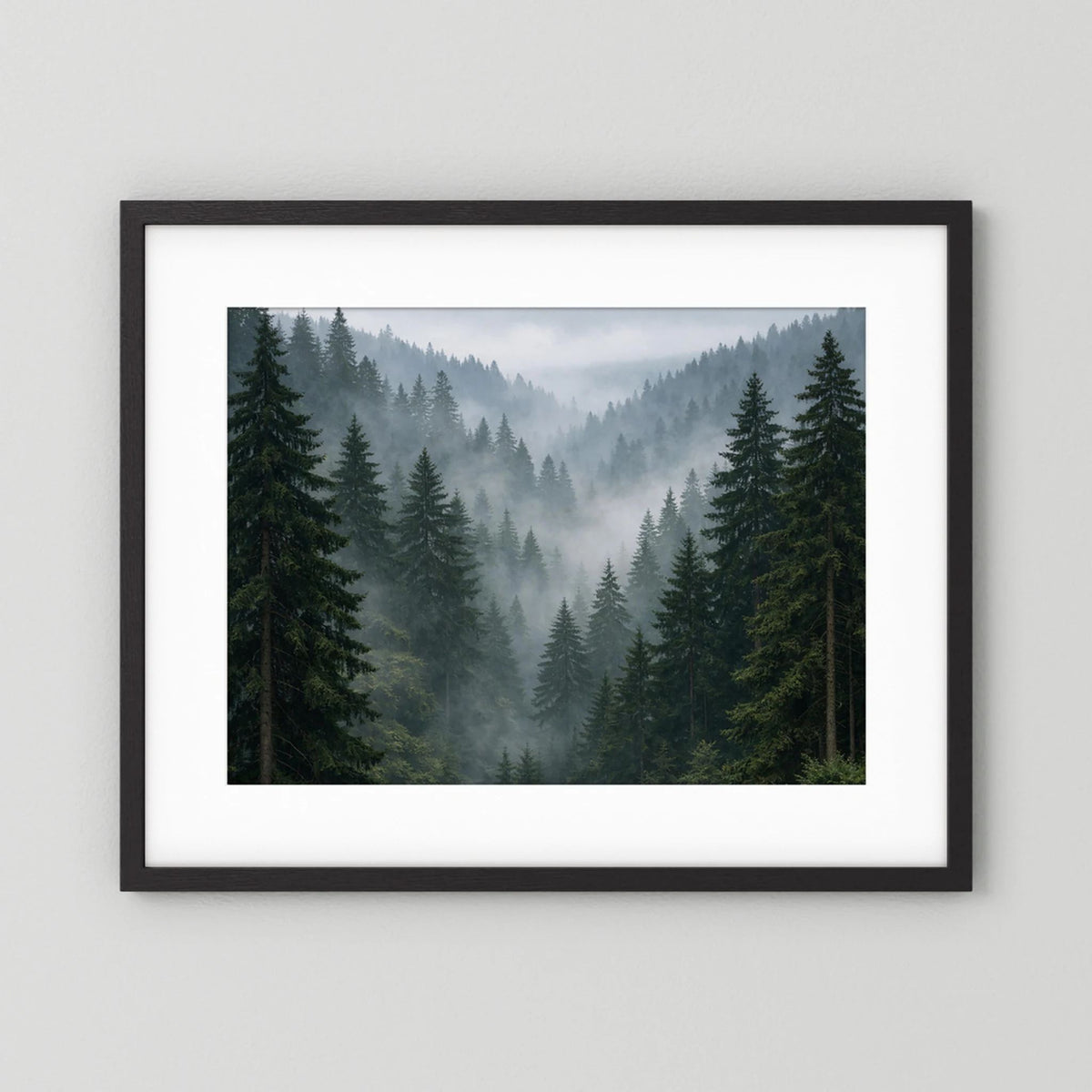 Wandbild Querformat mit Nebelwald und Tannen, schwarzer Rahmen mit weißem Rand