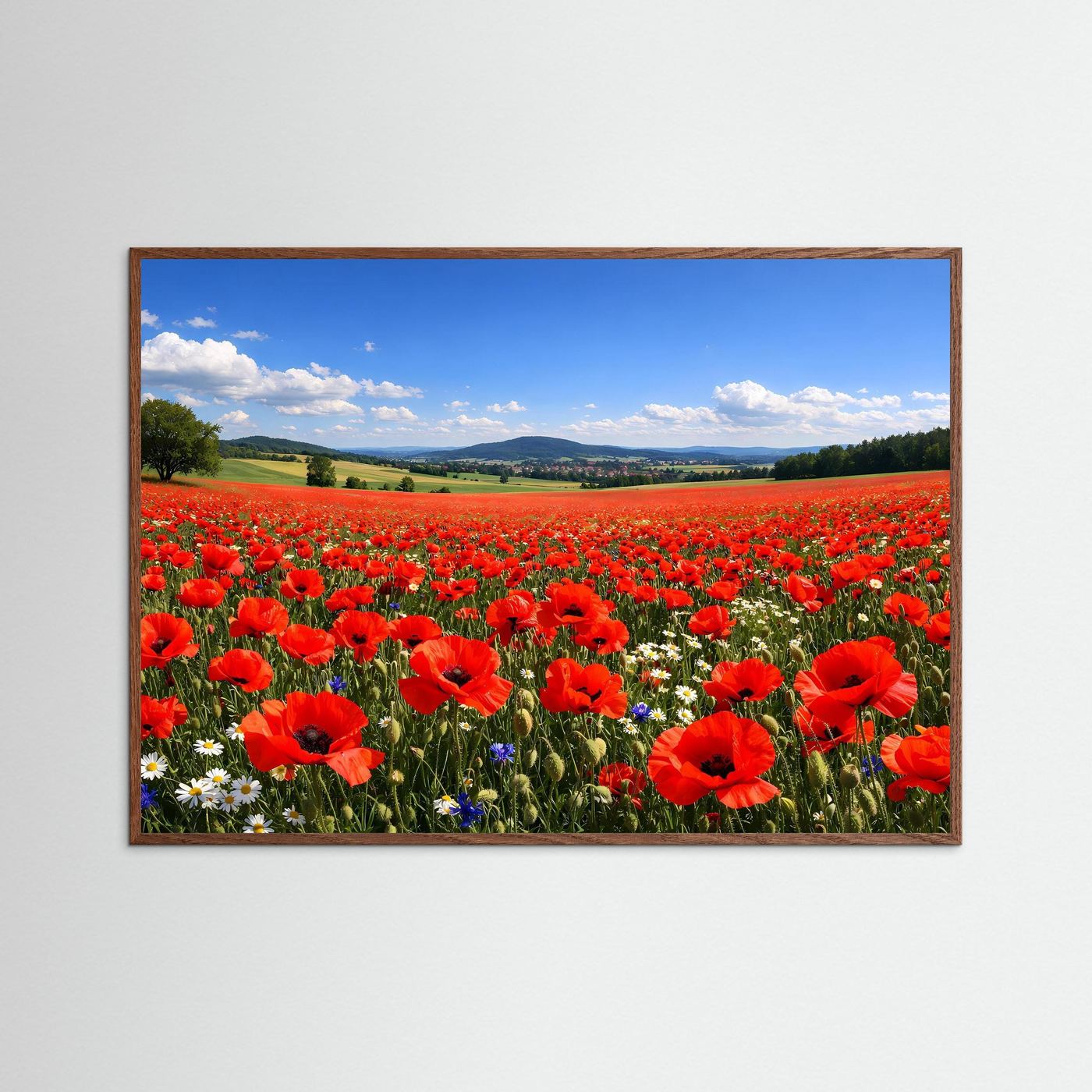 Leuchtendes Mohnblumenfeld im Sonnenschein | Sommer & Natur Poster Querformat