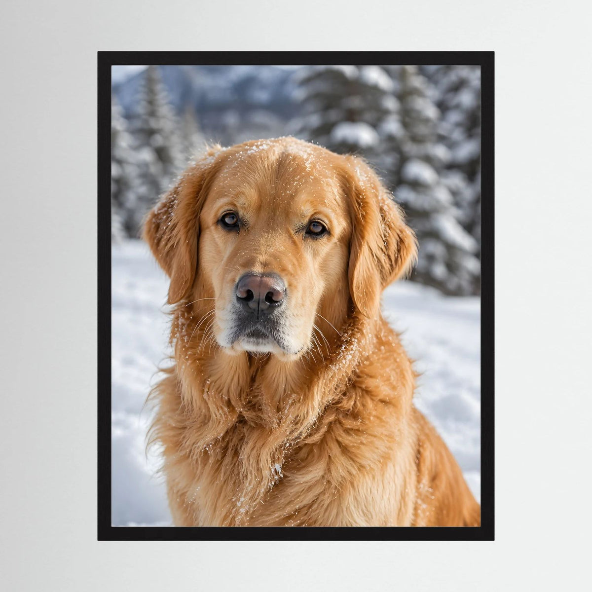 Hochformatiges Poster mit goldenem Retriever im Schnee im schwarzen Rahmen