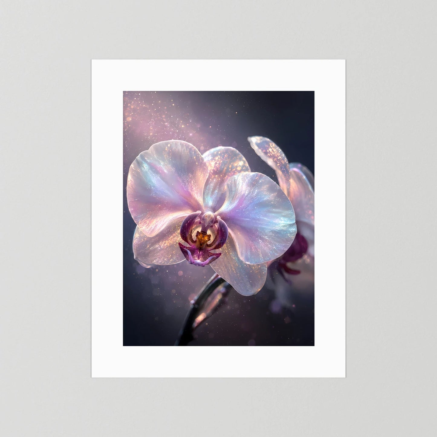 Orchideen-Poster mit weißem Passepartout, schimmernde pastellfarbene Blüte im Dunkelmotiv