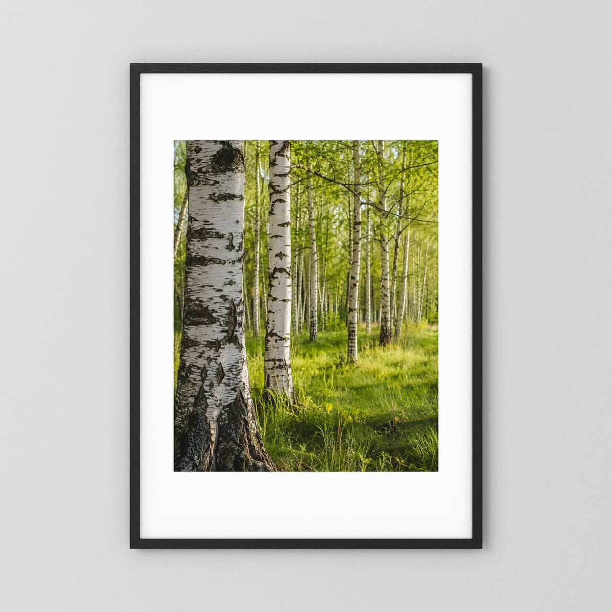 Poster im Hochformat: Birkenwald mit grüner Wiese, schwarzer Rahmen mit weißem Rand