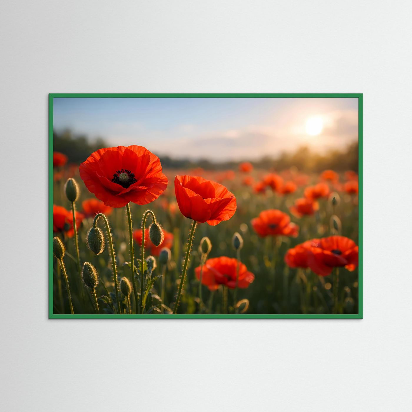 Mohnblumen-Poster mit roten Blüten bei Sonnenuntergang, grüner Rahmen