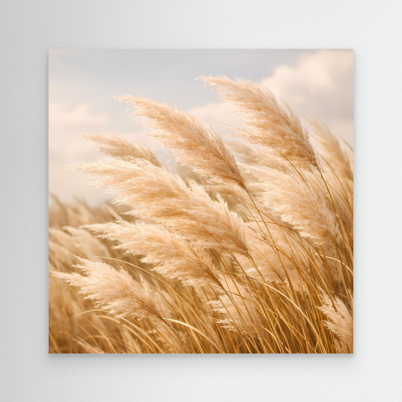 Leinwandbild mit wehenden Pampasgraswedeln in hellem Beige, quadratisch