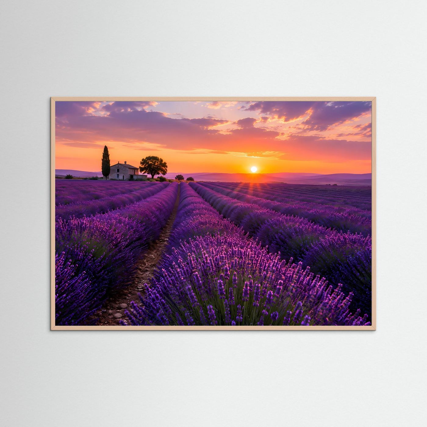 Lavendelfeld Poster Querformat | Provence Landschaft im Sonnenuntergang
