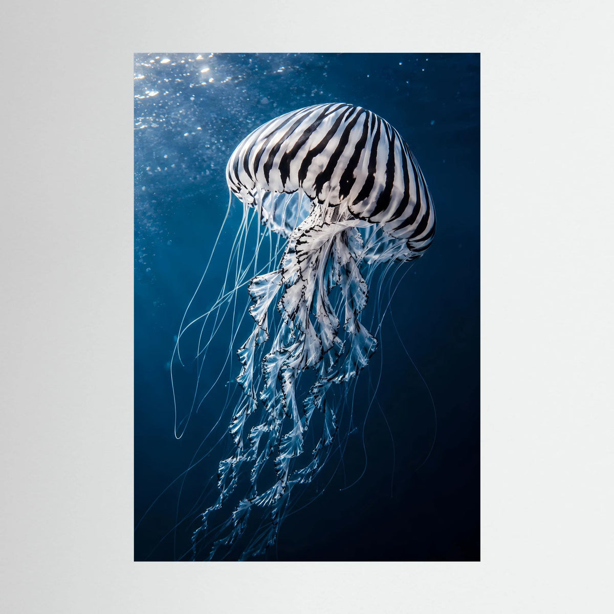 Poster mit Qualle im Blau, ohne Rahmen