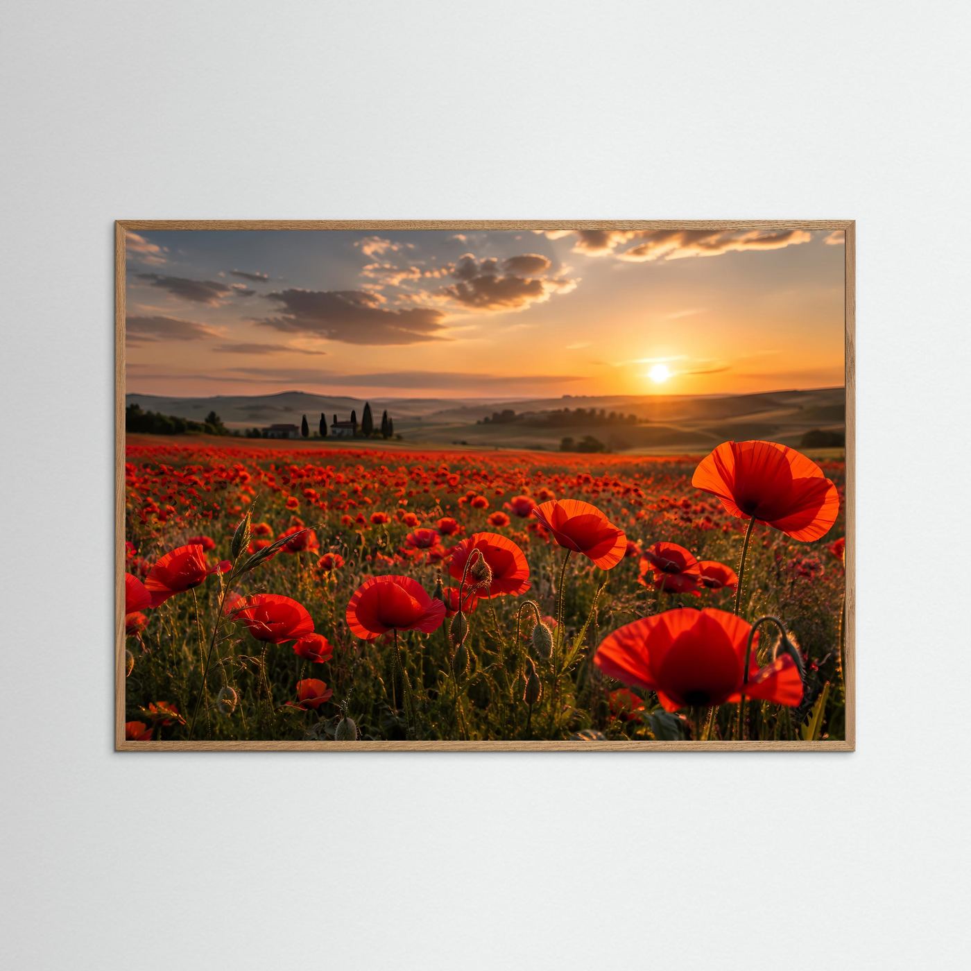 Rotes Mohnblumenfeld im Sonnenuntergang | Romantische Landschaft