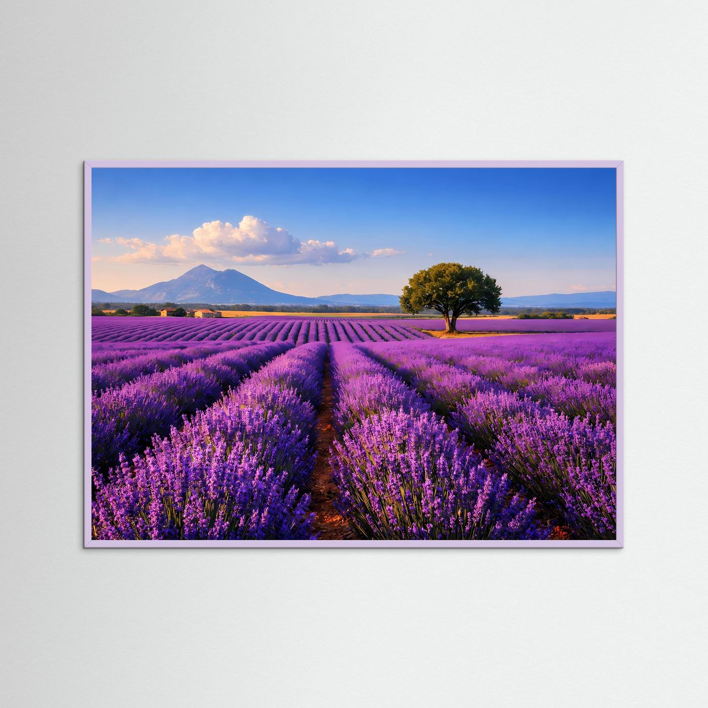 Lavendel-Feld-Panorama-Poster mit lilafarbenem Rahmen: lila Blütenreihen, Baum