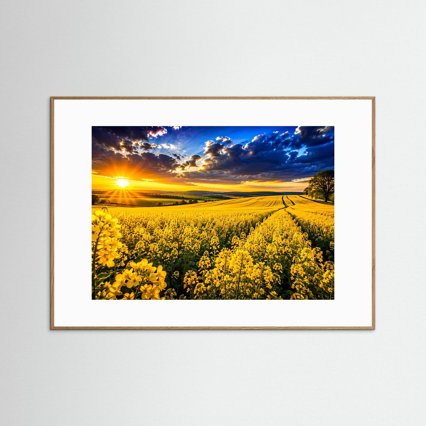 Poster mit Rapsfeld im Sonnenuntergang, gelbe Blüten und blauer Himmel, heller Holzrahmen