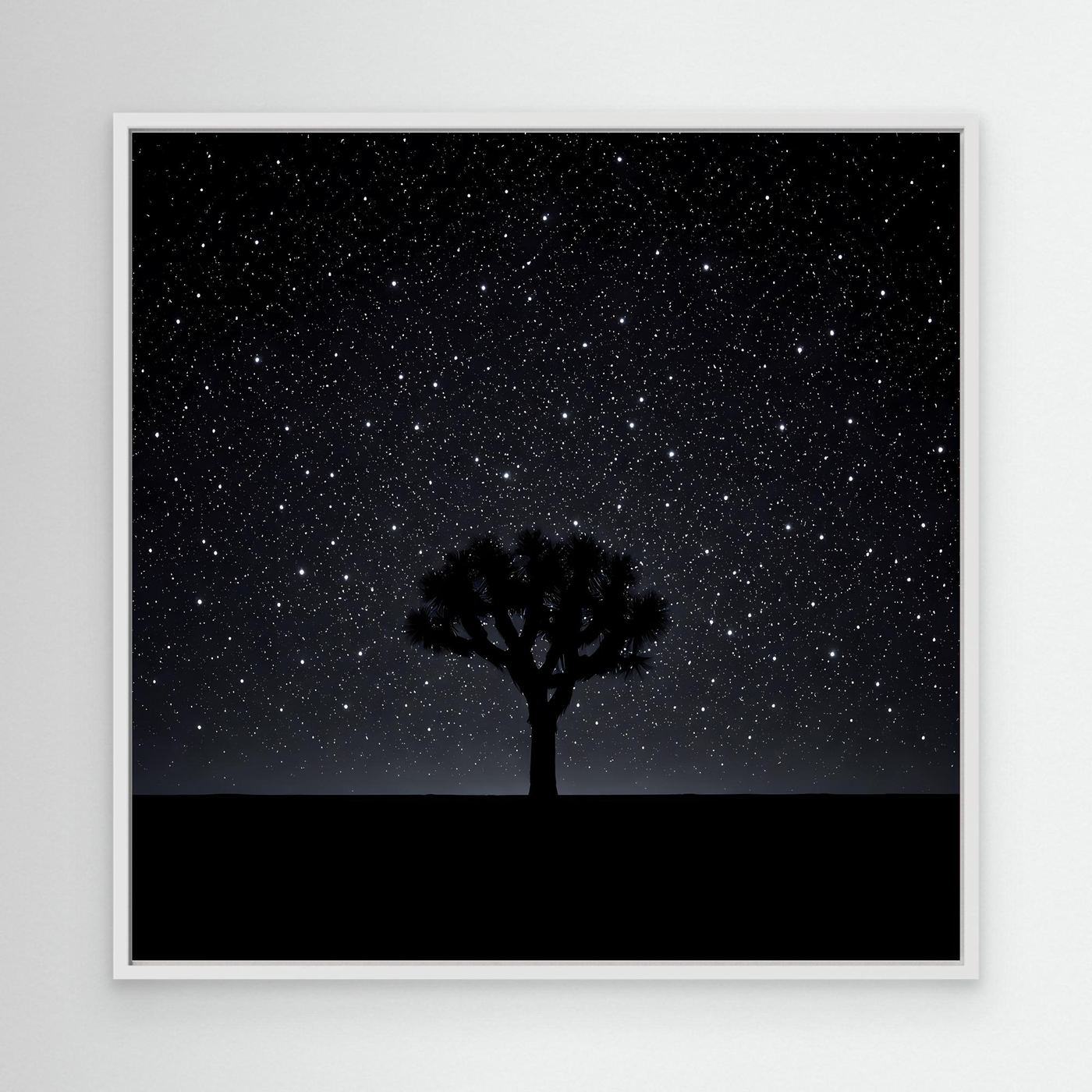 Leinwandbild Sternenhimmel mit Baum-Silhouette und Wüstenlinie, weißer Rahmen