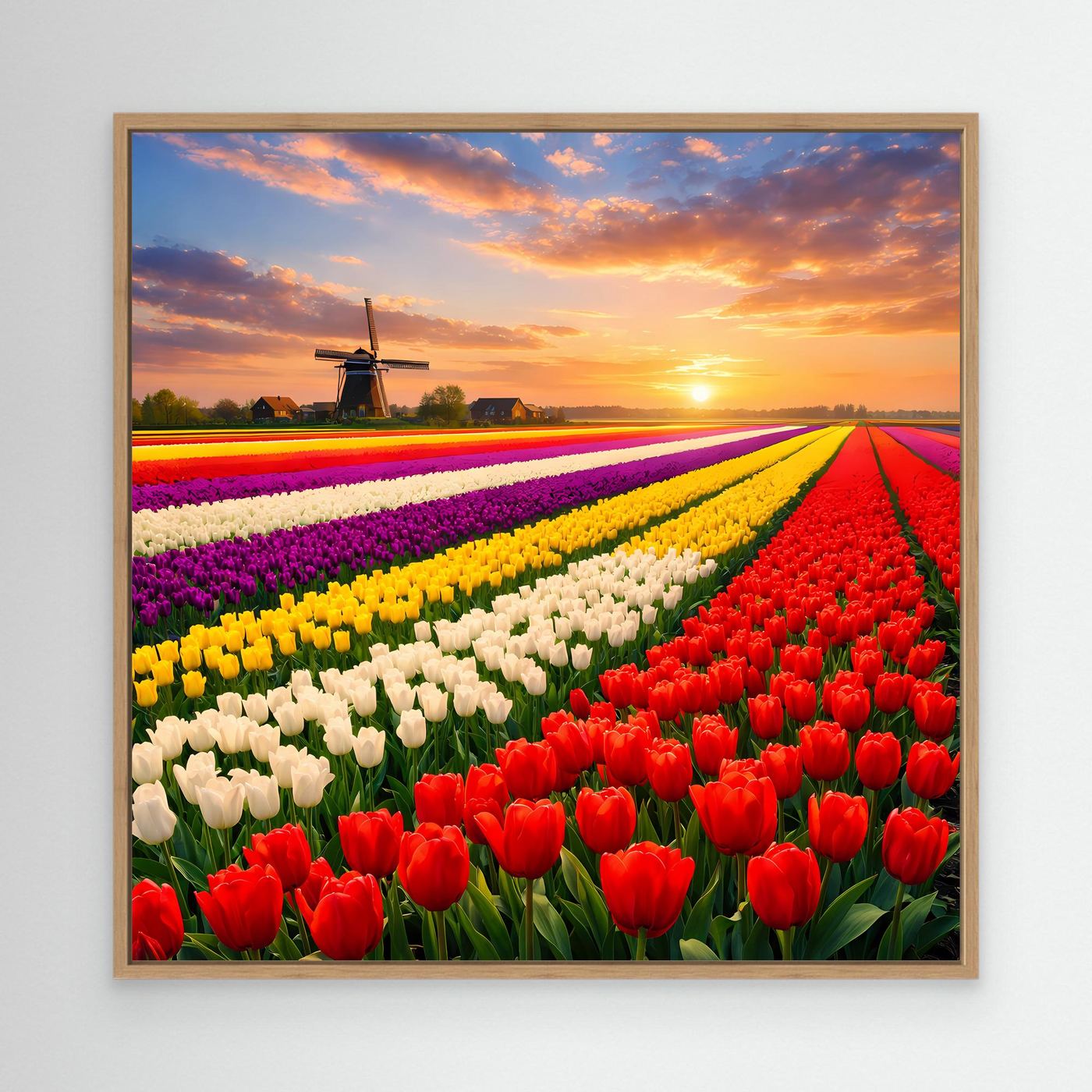 Leinwandbild mit buntem Tulpenfeld und Windmühle bei Sonnenuntergang, Eichenrahmen