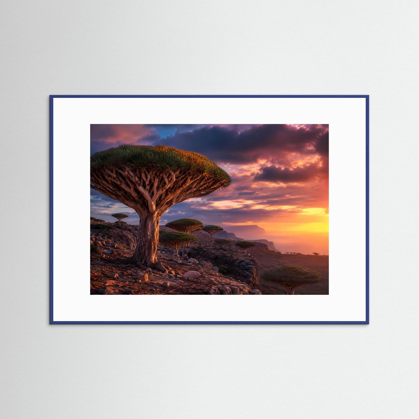 Magischer Drachenbaum-Sonnenuntergang | Sokotra & Exotische Natur Poster Querformat