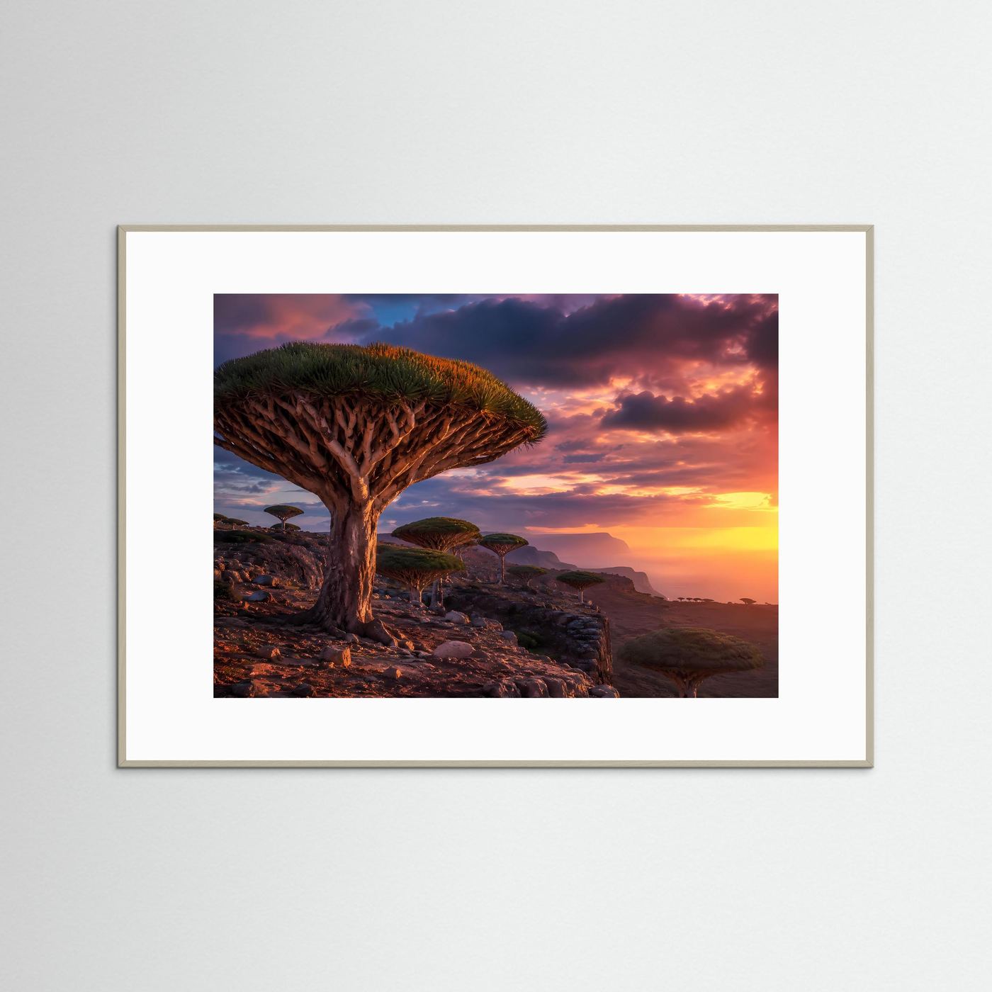 Magischer Drachenbaum-Sonnenuntergang | Sokotra & Exotische Natur Poster Querformat