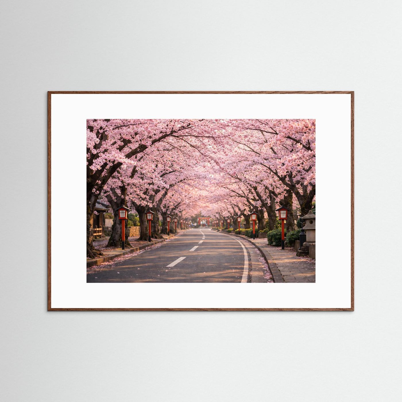 Kirschblütenallee-Panorama-Poster im Holzrahmen, Querformat, rosa Kirschblüten über der Straße
