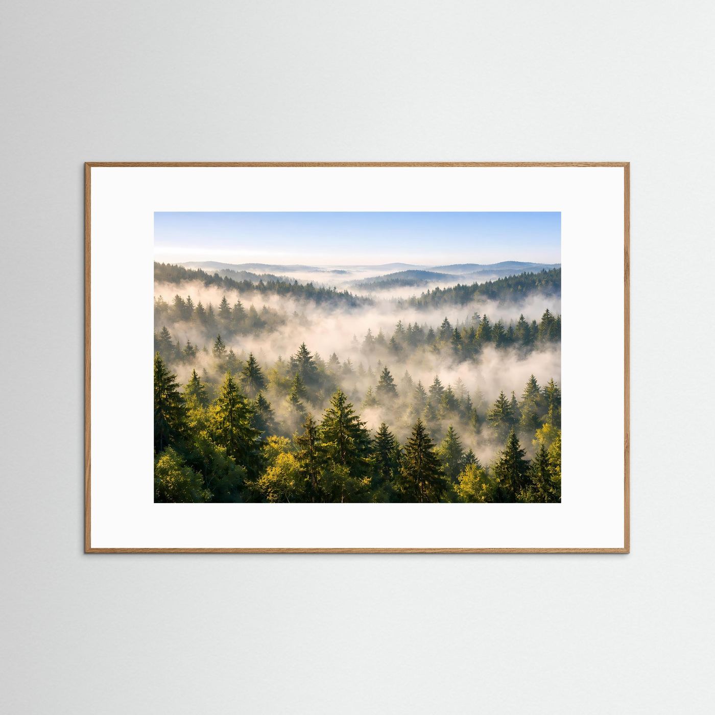 Mystischer Nebelwald im Morgenlicht | Panorama Natur Poster Querformat