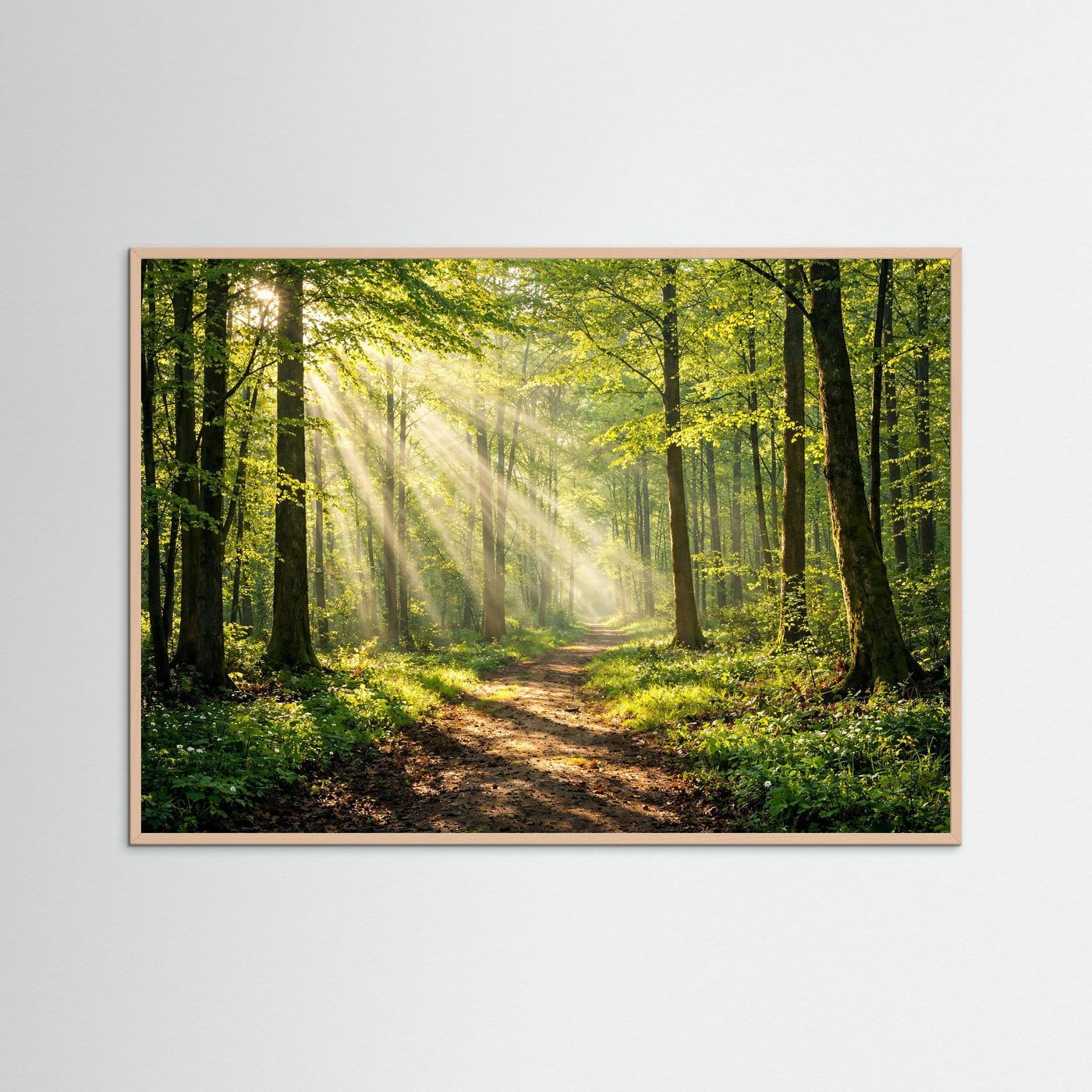 Naturposter im Querformat: Waldweg im Sommerwald, Sonnenstrahlen, Holzrahmen