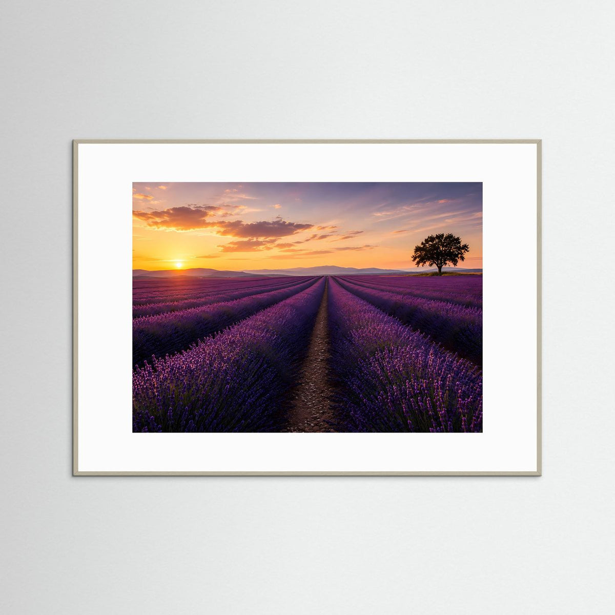 Poster im Querformat mit Lavendelfeld bei Sonnenuntergang, graues Rahmenprofil