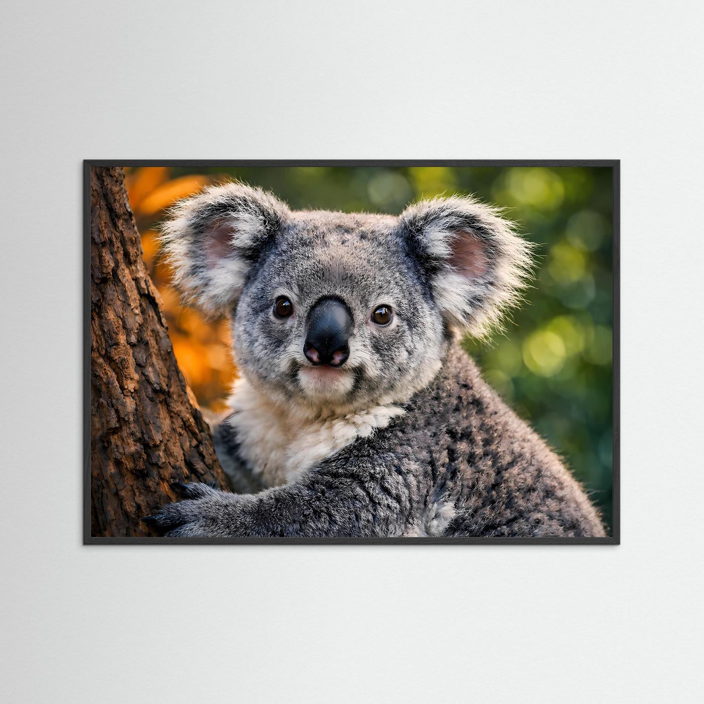 Koala-Tierposter im dunkelgrauen Rahmen, querformatig