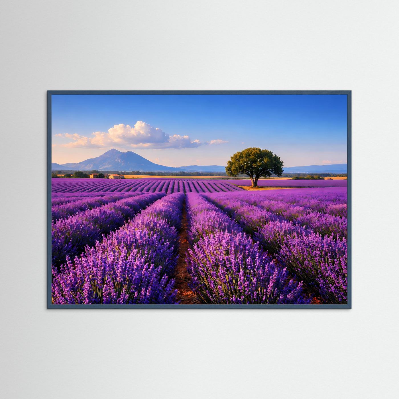 Lavendel-Feld-Panorama-Poster mit blauem Rahmen: lila Reihen, Baum, weicher Himmel