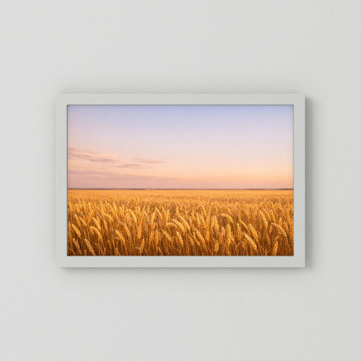 Querformatiges Wandbild mit goldenem Weizenfeld bei Sonnenuntergang im weißen Rahmen