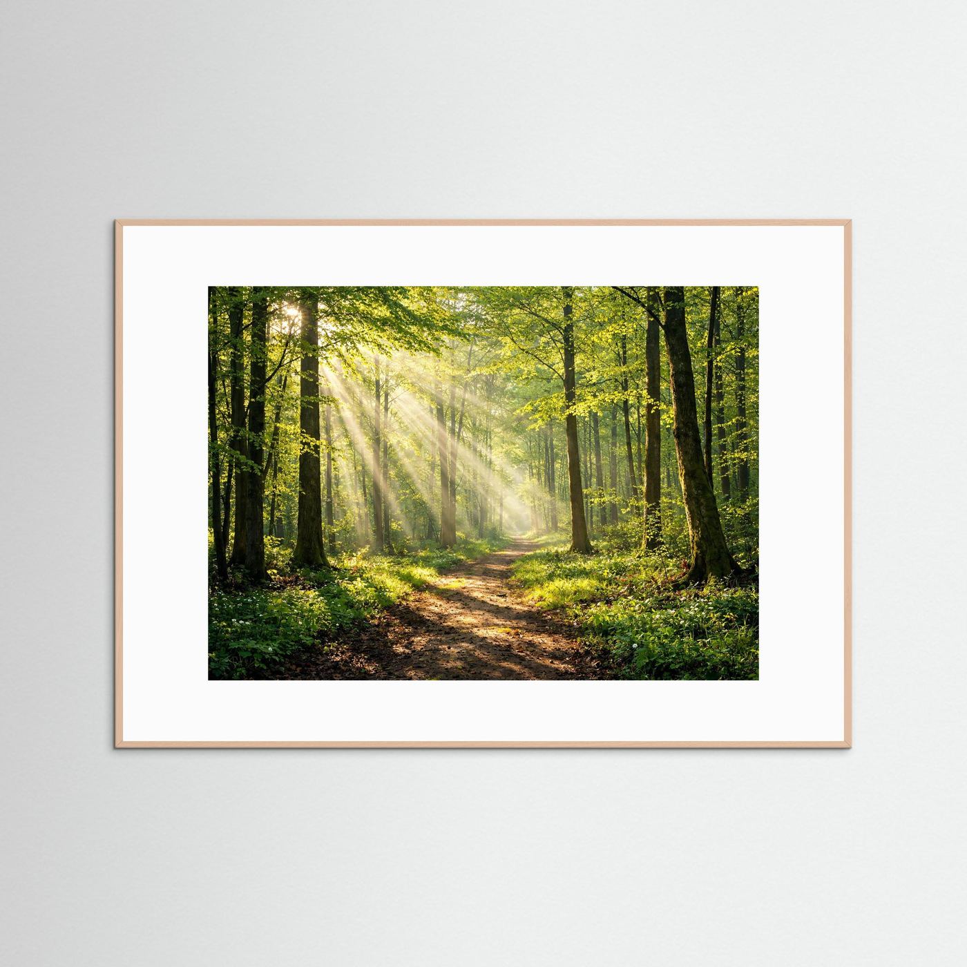 Naturposter im Querformat: Waldweg im Sommerwald, Lichtstrahlen, heller Holzrahmen