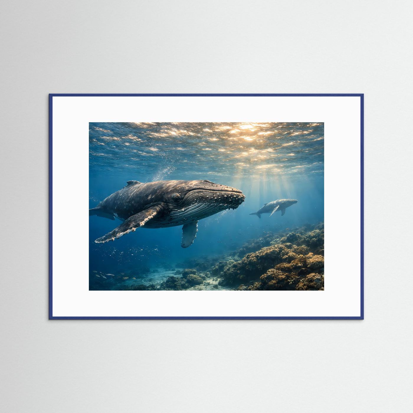 Majestätische Buckelwale im tiefen Ozean | Panorama Unterwasserwelt & Meer Poster Querformat