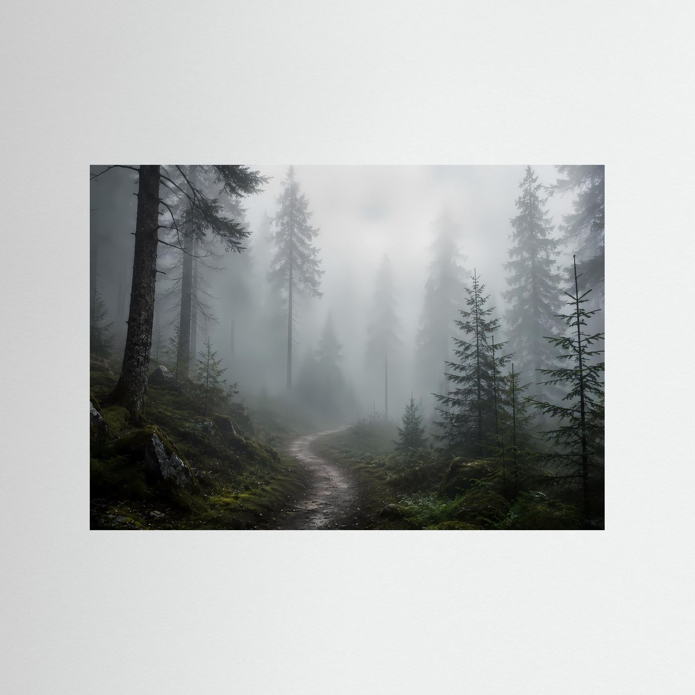 Wandbild mit Nebelwald-Motiv: dunkler Tannenwald und schmaler Waldweg