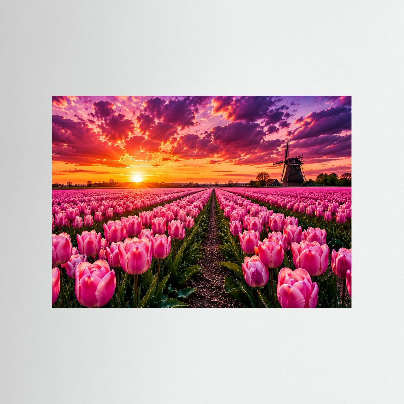 Rosa Tulpenfeld bei Sonnenuntergang | Holland Windmühle Landschaft