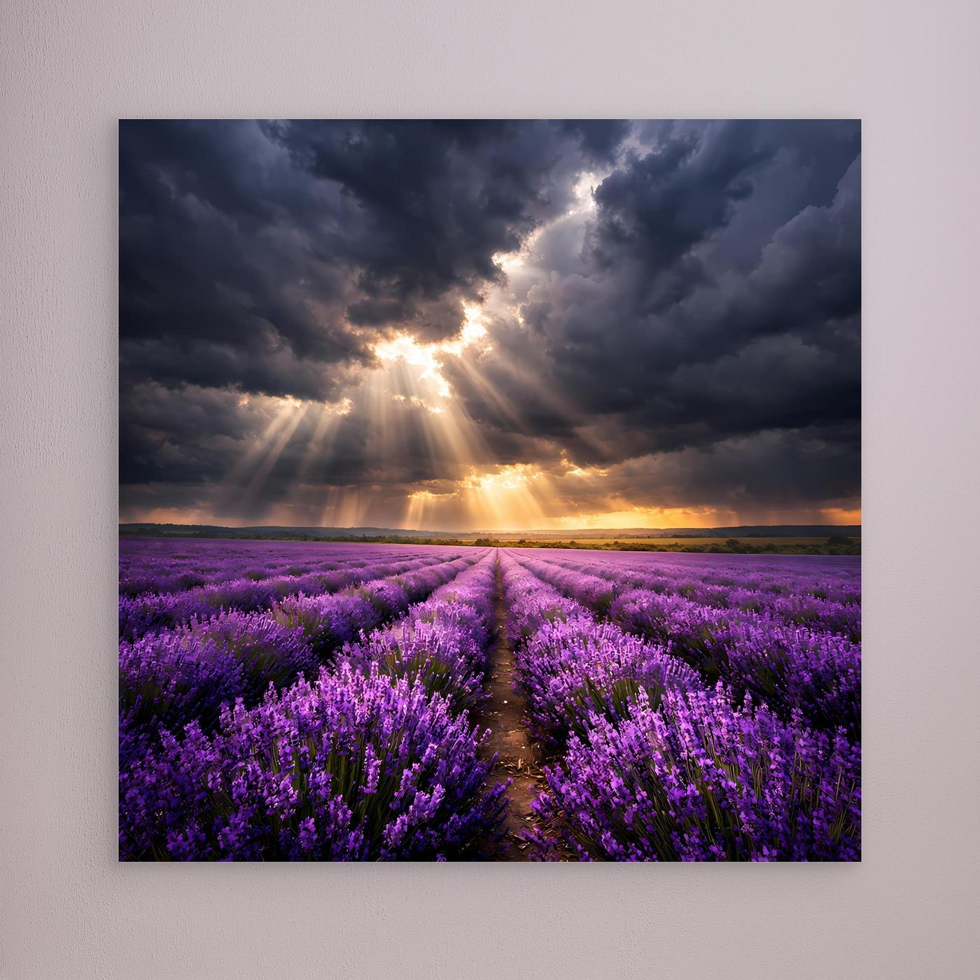 Leinwandbild mit lila Lavendelfeld, Lichtstrahlen durch Wolken, Sonnenuntergang