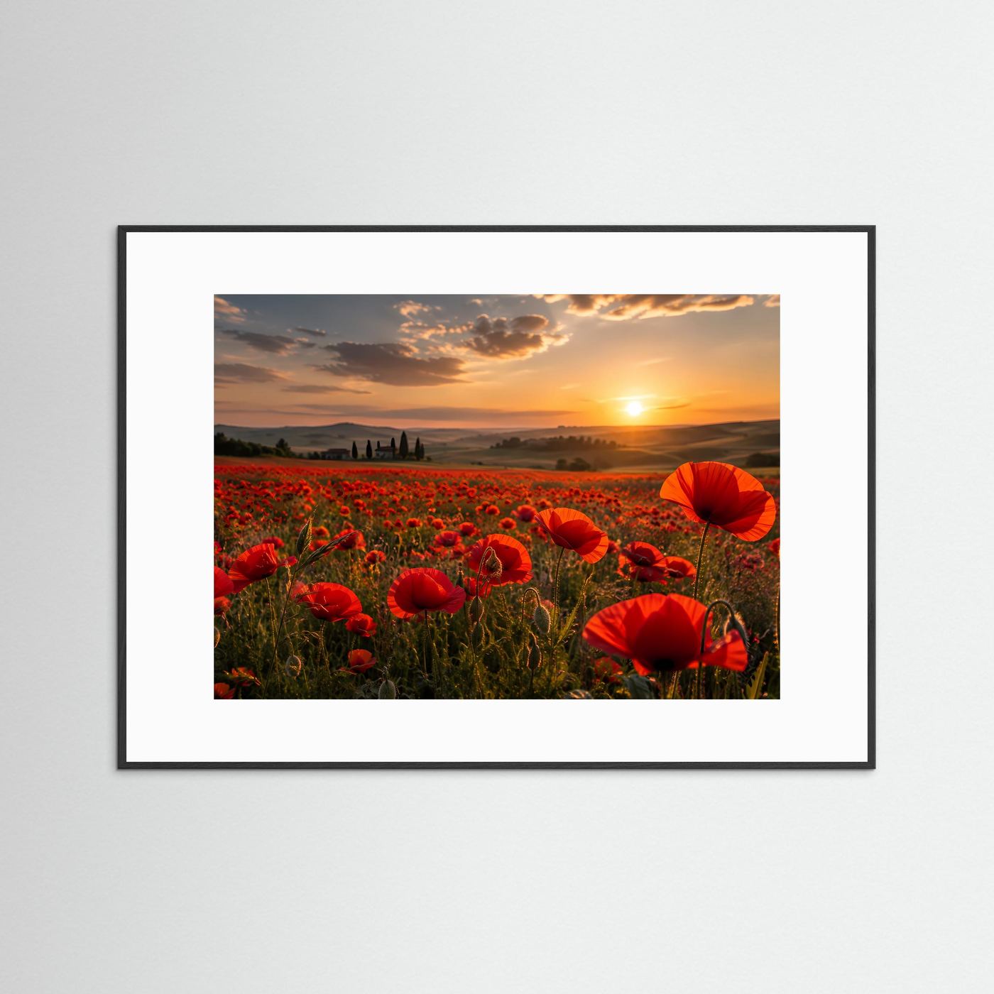 Rotes Mohnblumenfeld im Sonnenuntergang | Romantische Landschaft