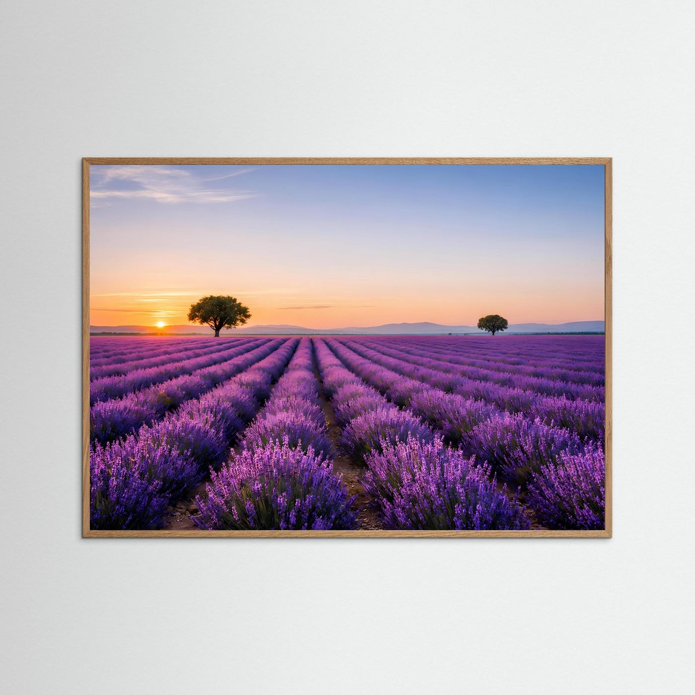 Gerahmtes Lavendel-Panorama-Poster im Querformat, brauner Holzrahmen, lila Feld bei Sonnenuntergang