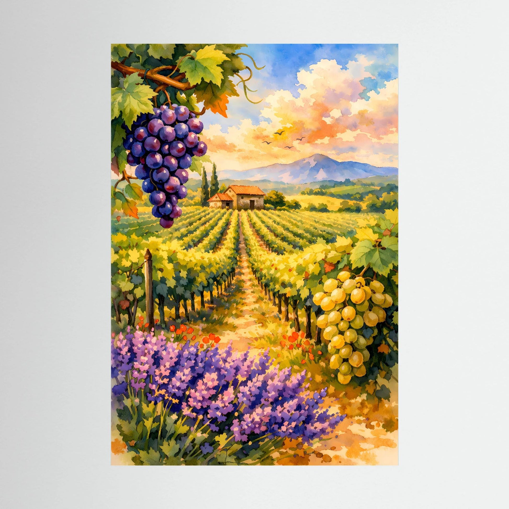 Ungerahmtes Hochformat-Poster: Weinberg mit lila und gelben Trauben, Lavendelblüten