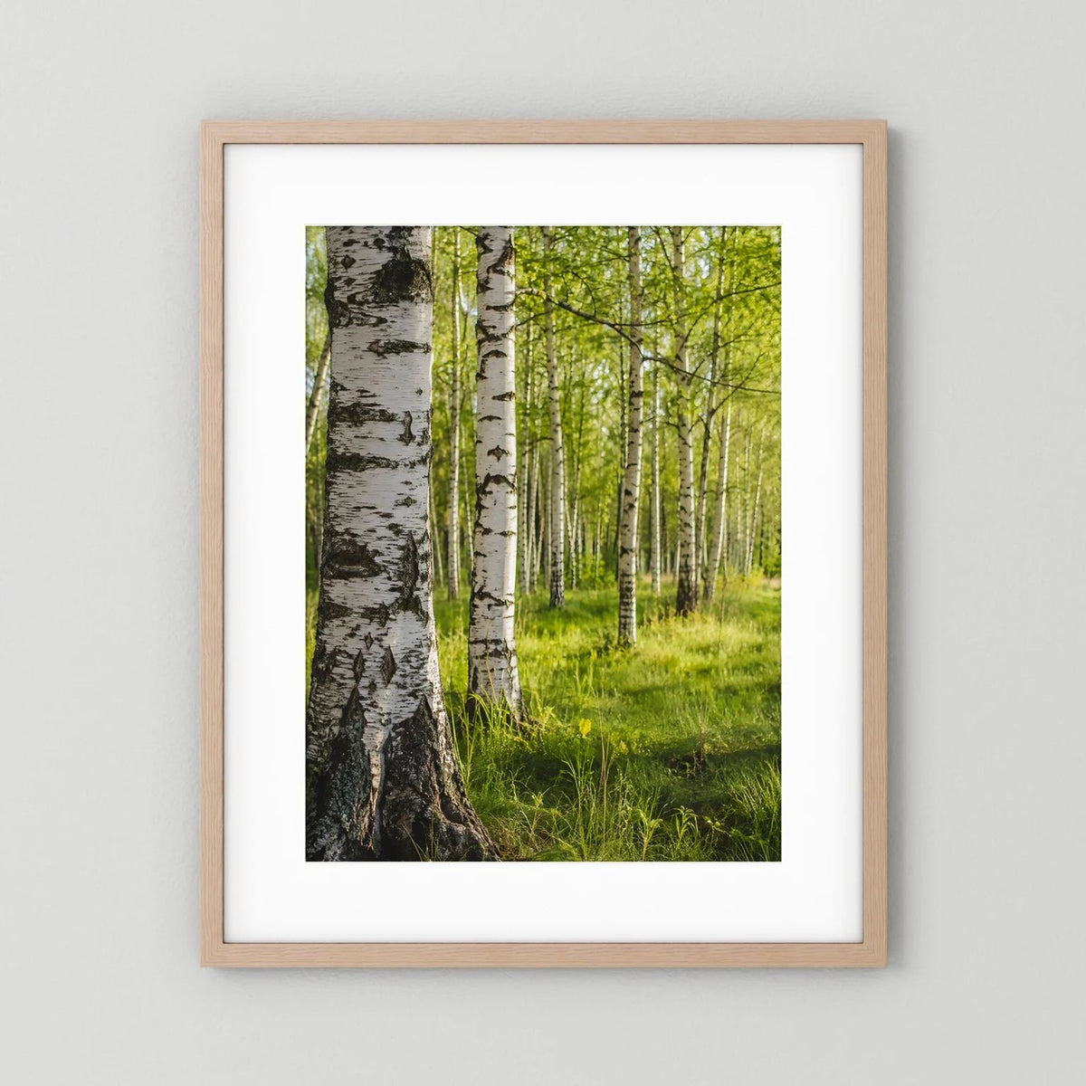 Poster im Hochformat: Birkenwald mit grüner Wiese, naturfarbener Rahmen mit weißem Rand