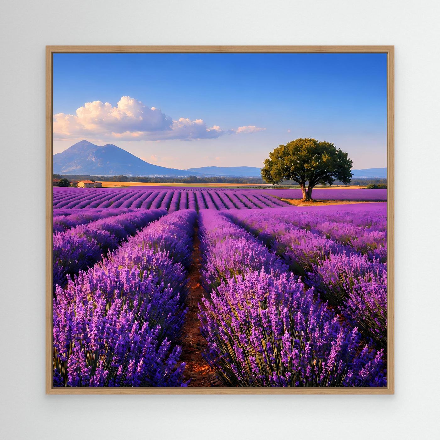 Leinwand-Landschaftsbild mit Lavendelfeld und Baum, Holzrahmen in Eiche