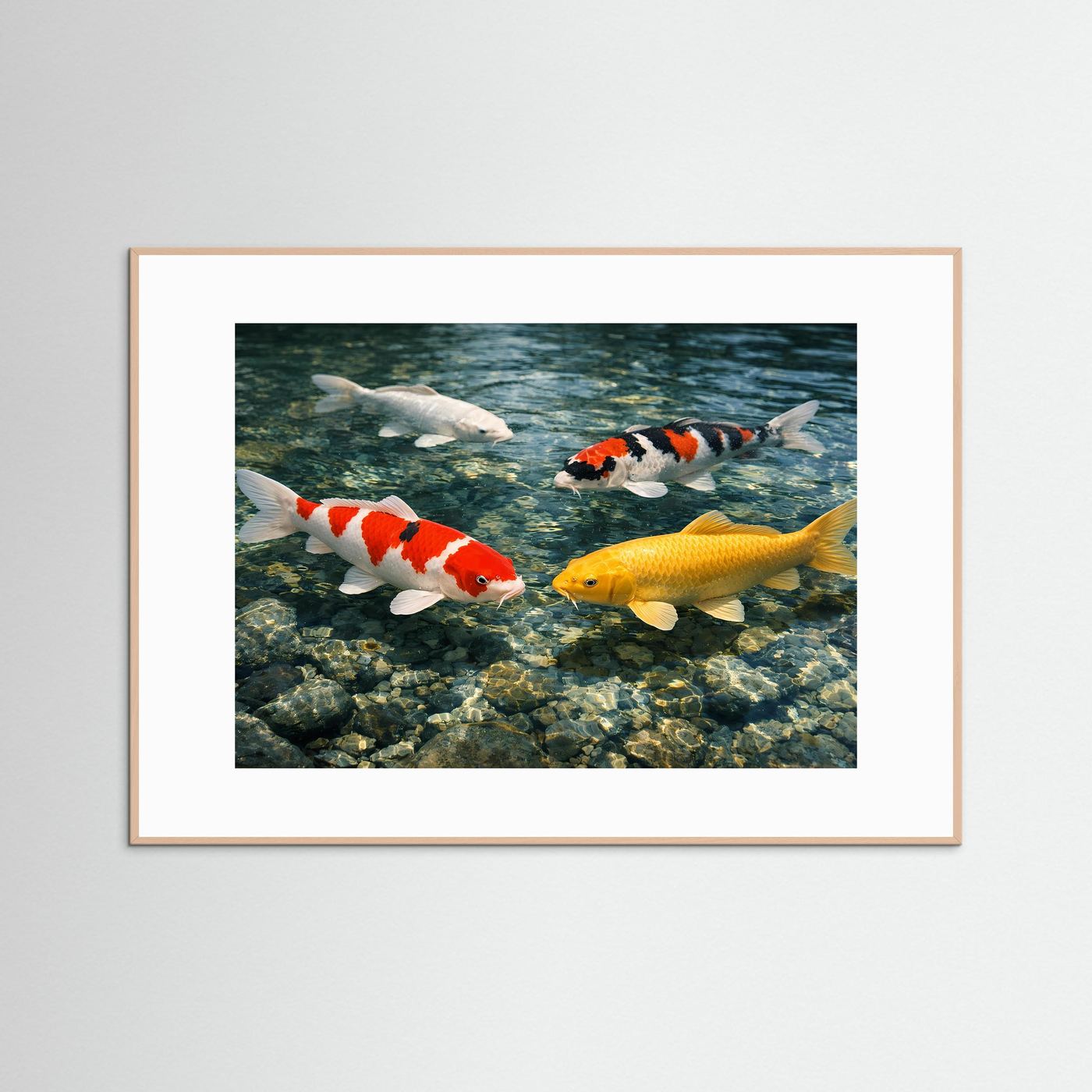 Poster mit Koi-Karpfen im glasklaren Teich, hellbraun gerahmt