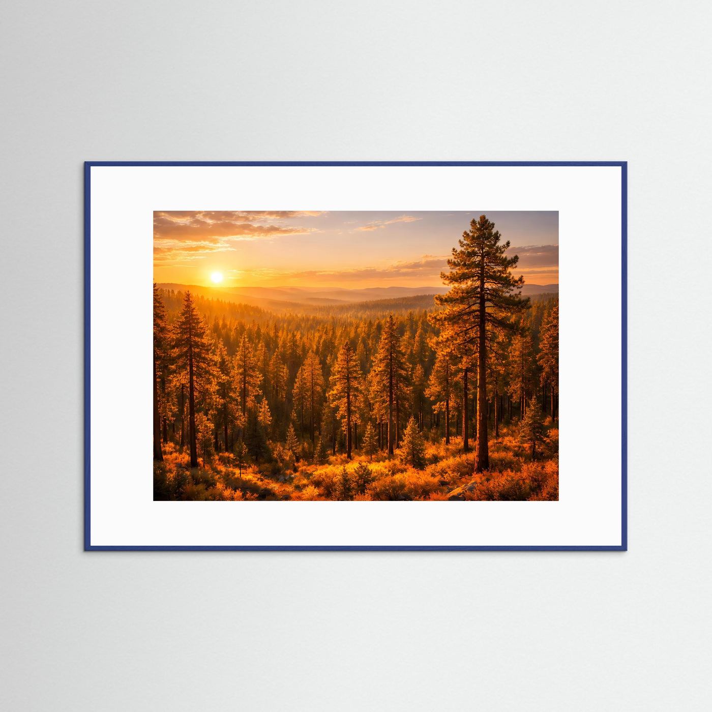Waldposter im Querformat mit goldenem Sonnenuntergang und Nadelbäumen, blau gerahmt
