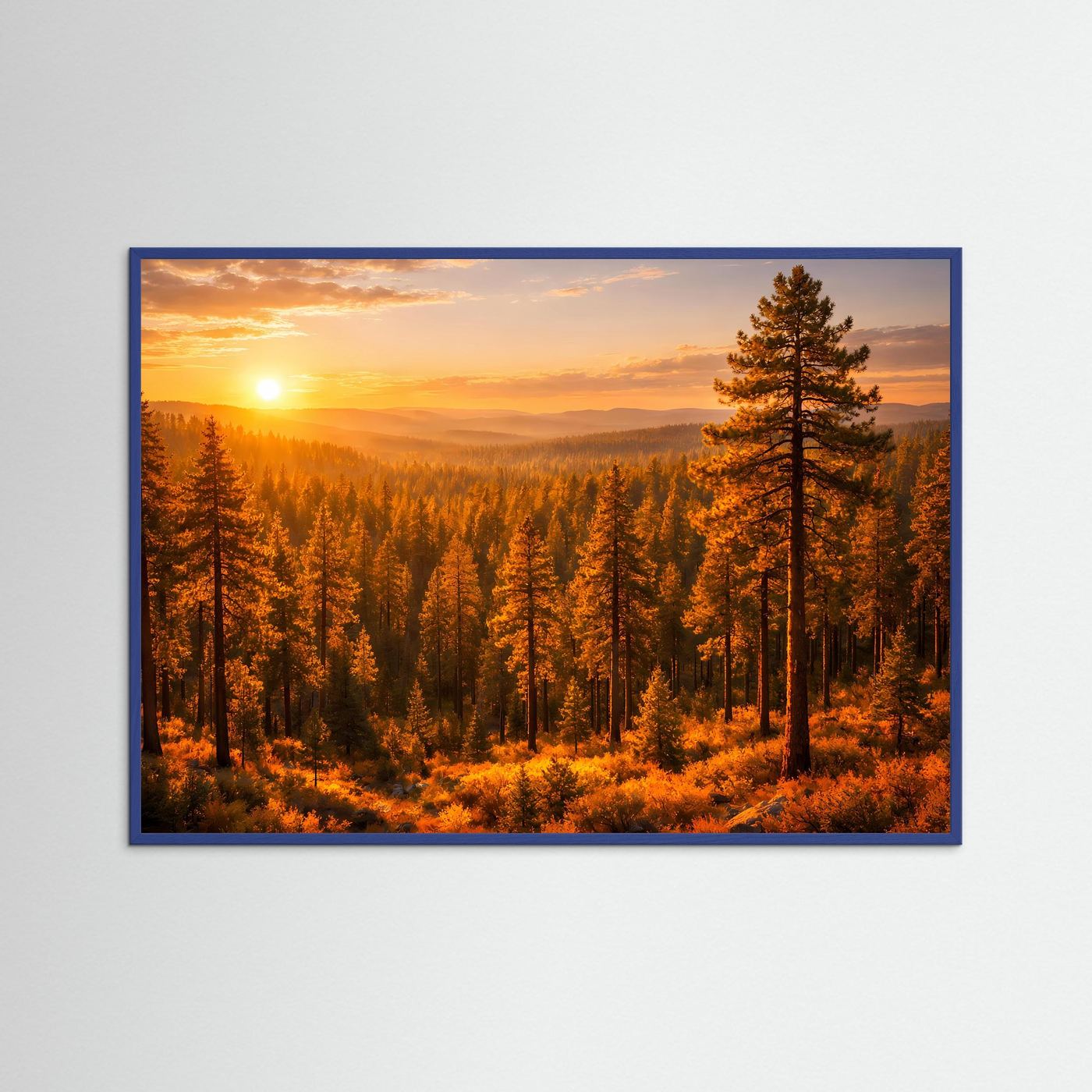 Querformatiges Naturposter mit Sonnenaufgang und Kiefern im goldenen Wald, blauer Rahmen
