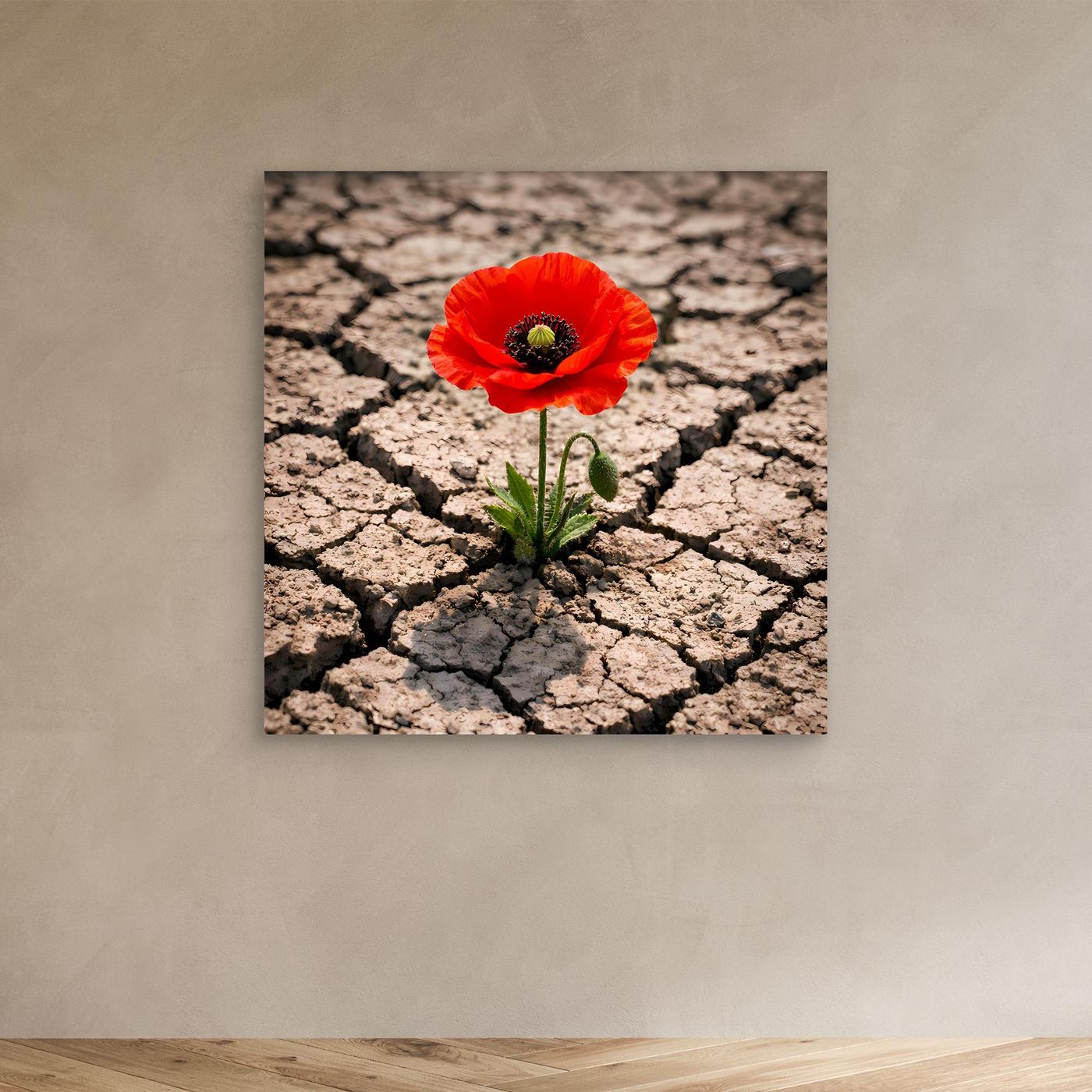 Leinwandbild mit roter Mohnblume auf rissigem Trockenboden, ohne sichtbaren Rahmen